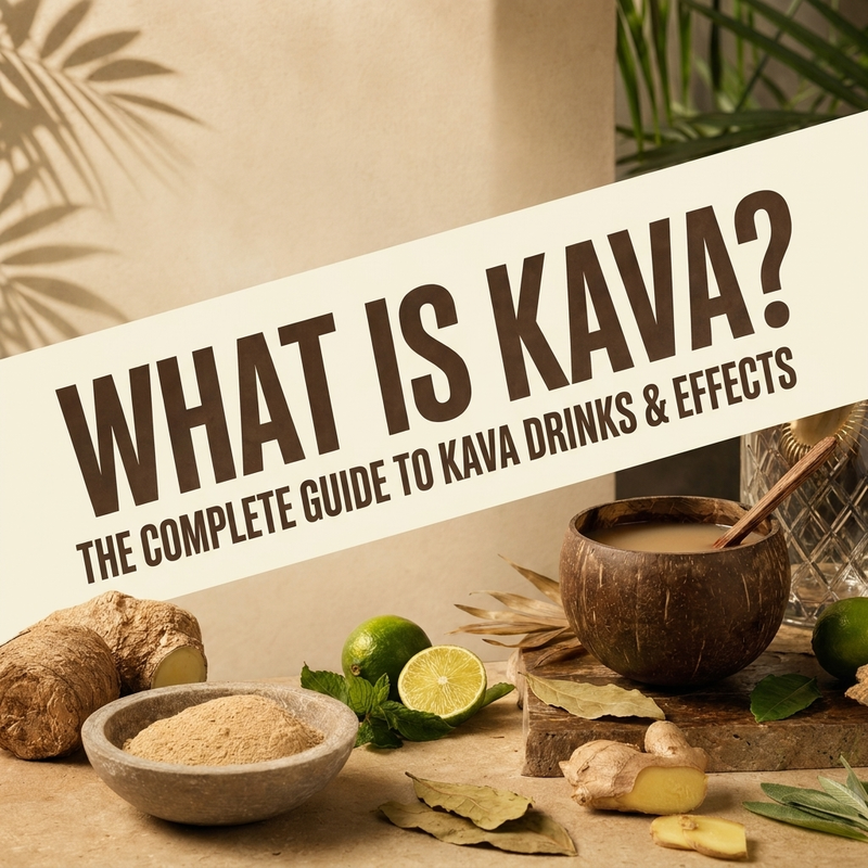 What Is Kava? The Complete Guide to Kava Drinks & Effects