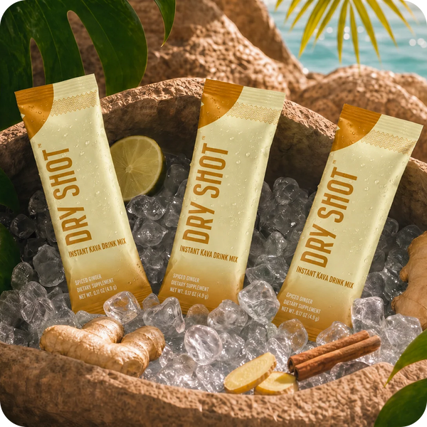 Spiced Ginger Drink Mix